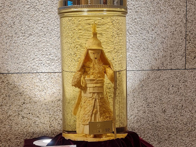 にんじん博物館⁉️ 【🇰🇷高麗人参博物館】