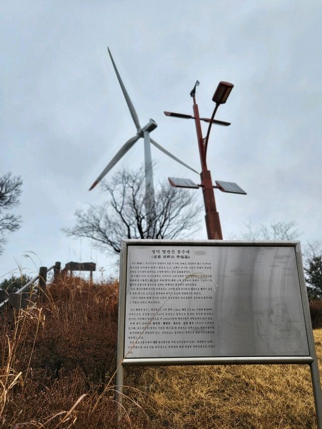 영덕여행코스로 추천하는 오션뷰공원