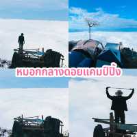 หมอกกลางดอยแคมป์ปิ้ง