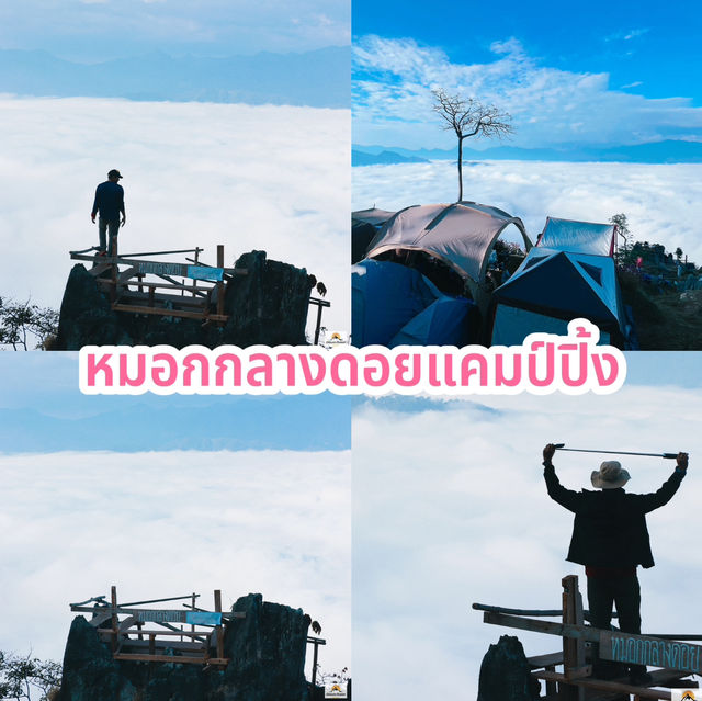 หมอกกลางดอยแคมป์ปิ้ง