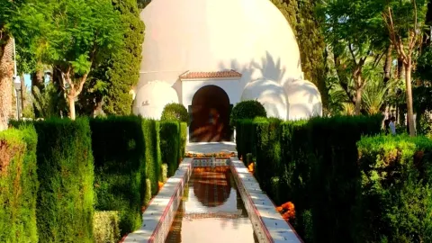 Elche is famous for its palm plantations — traveler post in Elche