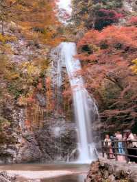 大阪｜近郊的世外桃源-箕面公園 紅葉季還能嚐炸楓葉