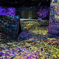 福岡📍 TeamLab Forest