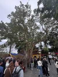 河內古寺尋旅～鎮國寺