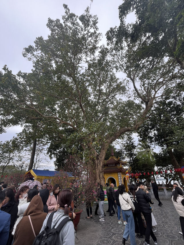 河內古寺尋旅～鎮國寺