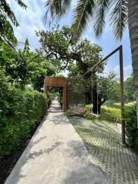 Serene House Cafe