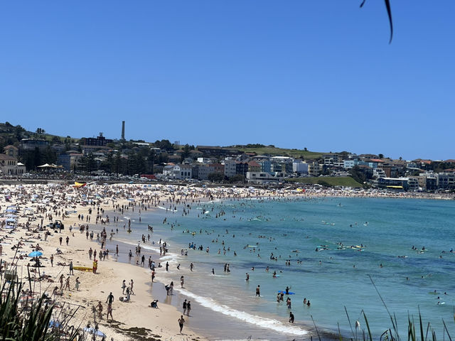 Sydney in 4 Days: Sights, Strolls & Bite