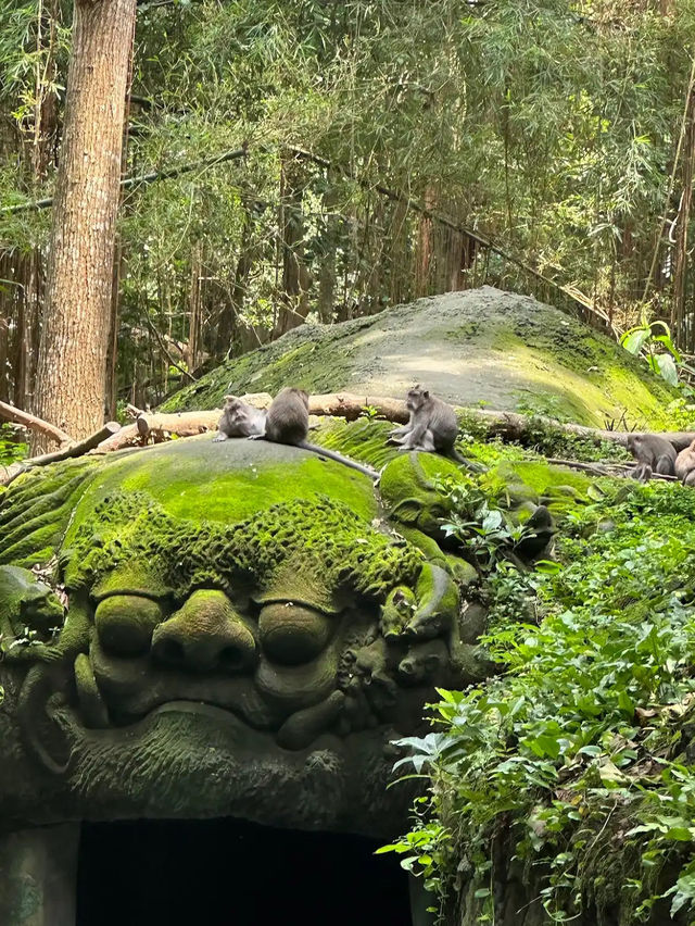 Ubud Monkey Forest