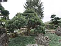 A Peaceful Pause: Hong Kong’s Best Kept Secrets—Chi Lin Nunnery and Nan Lian Garden