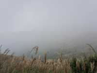 Into the Mist: The Enchanting Hike Up Sunset Peak