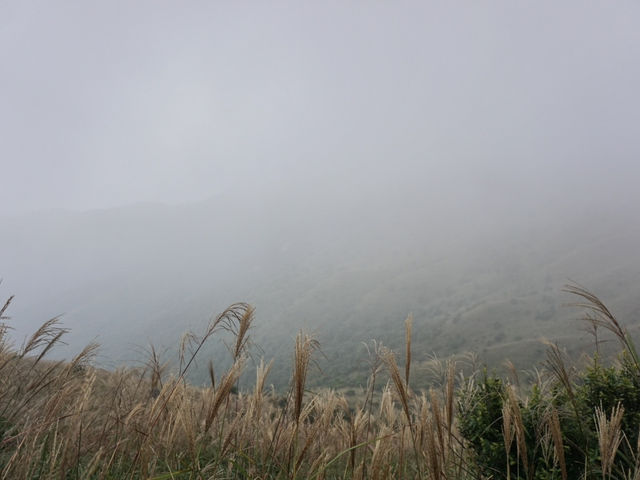 Into the Mist: The Enchanting Hike Up Sunset Peak