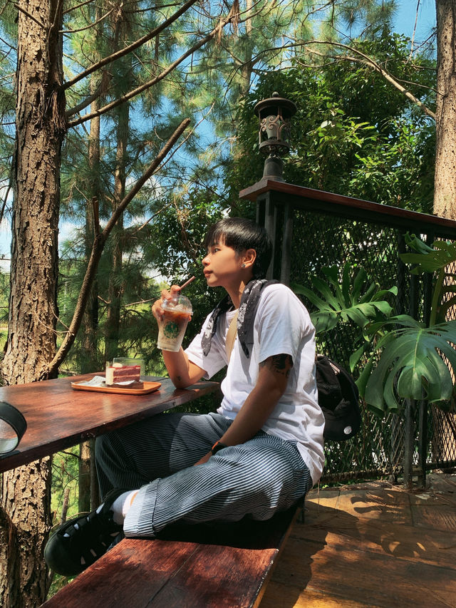 Cedar cafe ป่าสน เขาค้อ