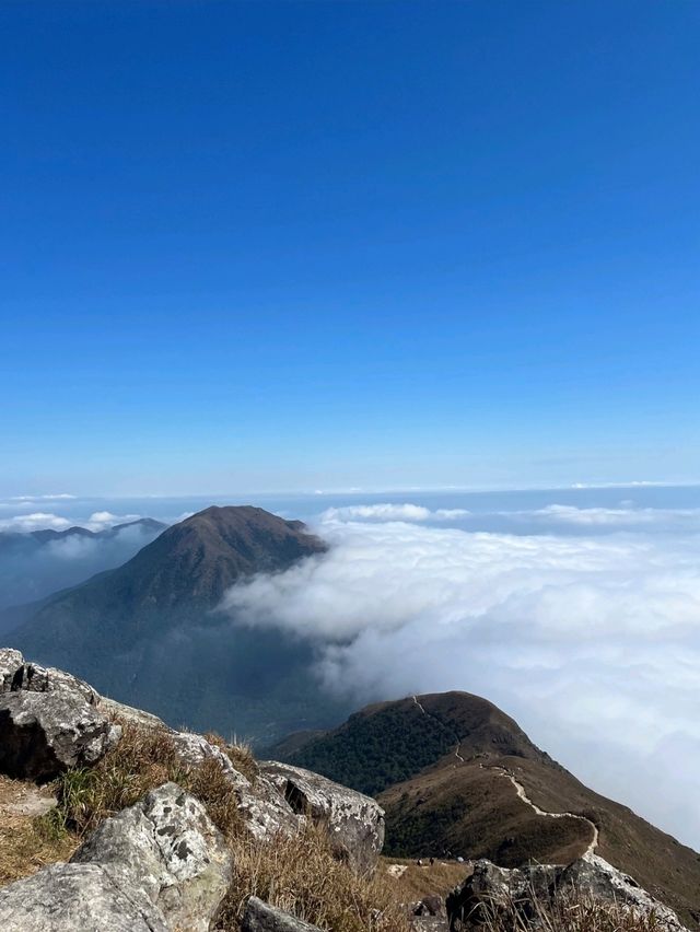 香港大嶼山‐探索自然的壯麗與浪漫✨🏞️，情人節的完美約會地點💖