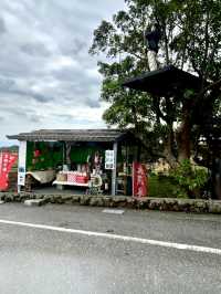 台東｜美麗米樹屋