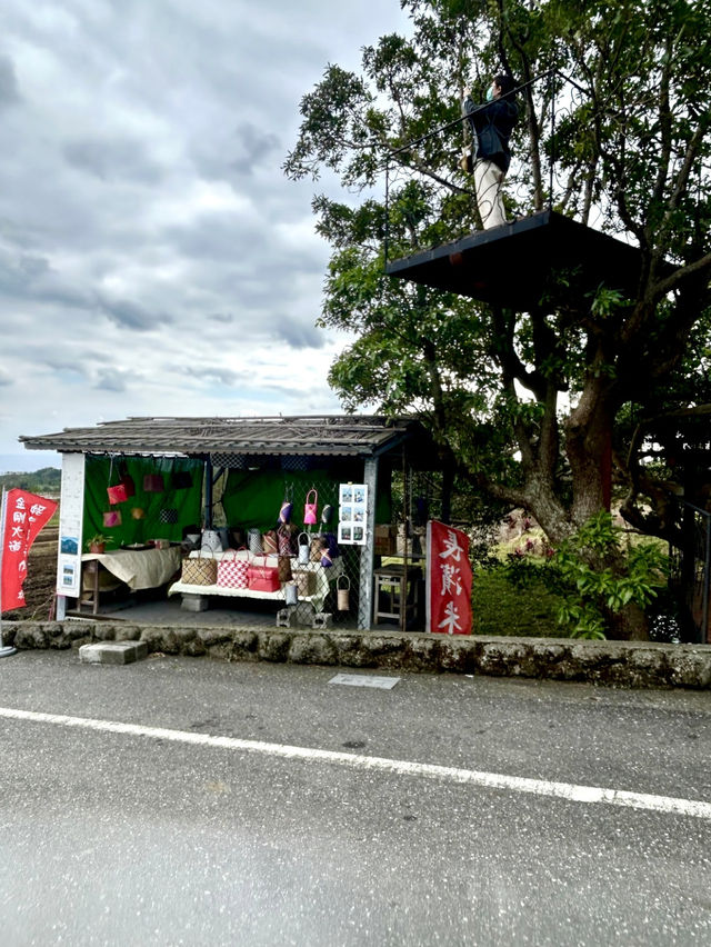 台東｜美麗米樹屋