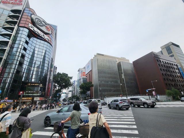 도쿄여행