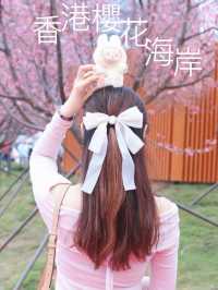 🌸香港櫻花海岸賞花攻略🌸