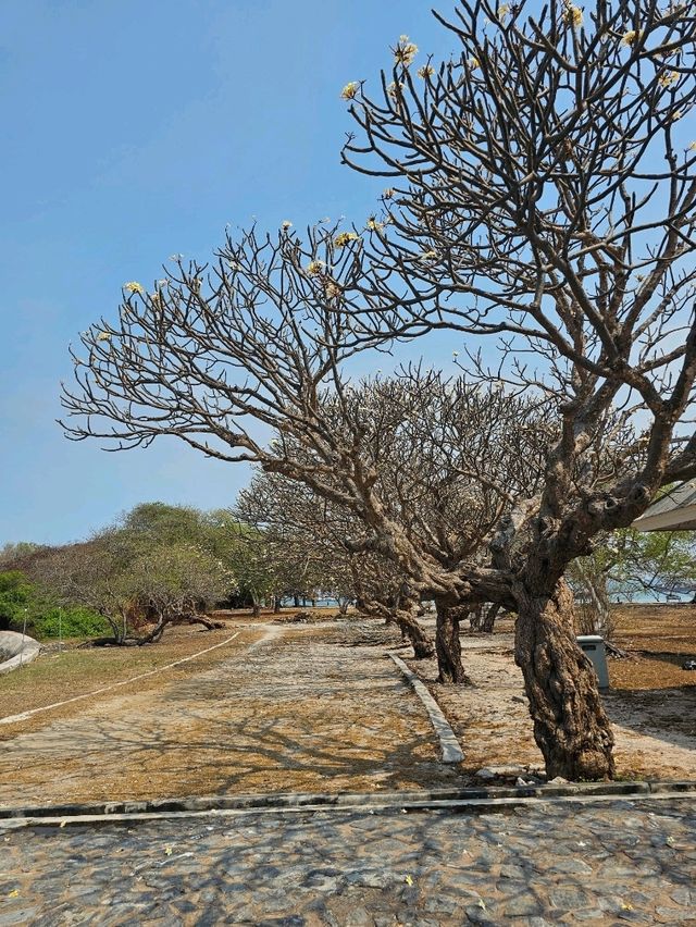 สะพานอังฏางค์  เกาะสีชัง