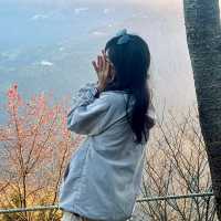 去露營吧！新竹五峰竹鷹露營區🏕️隨時變換景色的高海拔營區推薦！