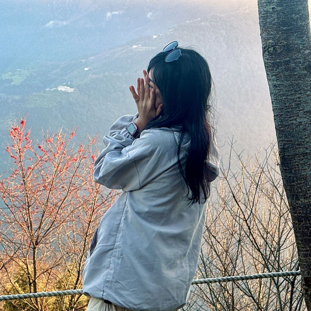去露營吧！新竹五峰竹鷹露營區🏕️隨時變換景色的高海拔營區推薦！