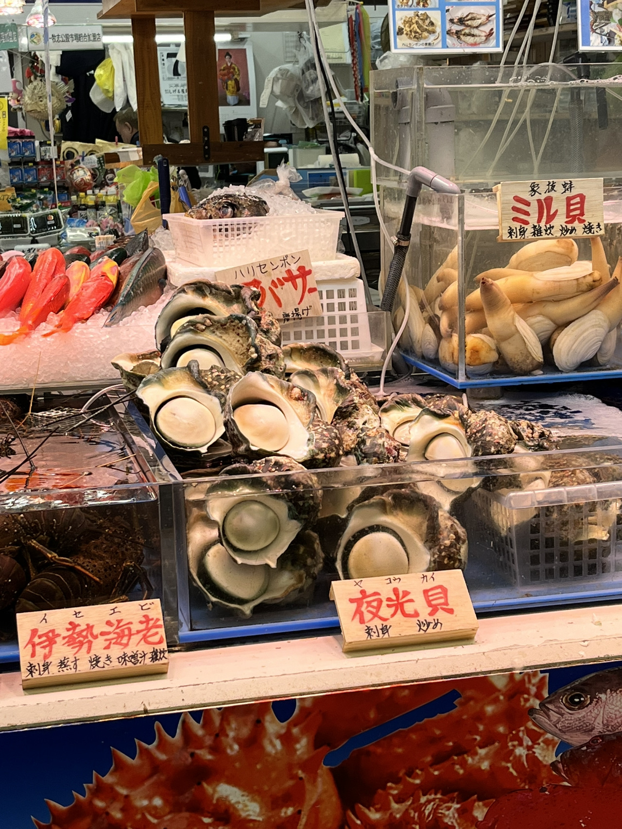 沖縄】リーズナブルに沖縄料理を | Trip.com 那覇