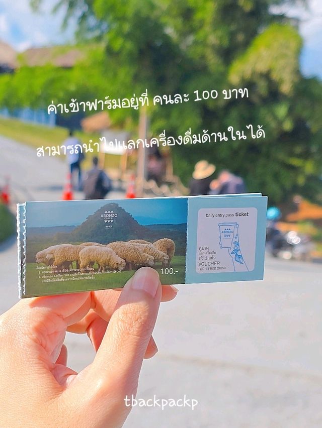 Abonzo ฟาร์มแกะสุดCute ที่เชียงราย 🐏🐑