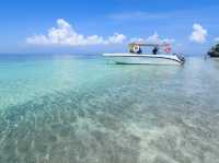 ดำน้ำเกาะจาน เกาะท้ายทรีย์ หาดวนกร ประจวบฯ