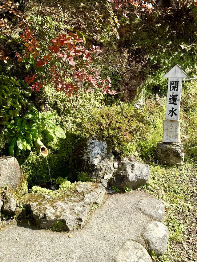 【山梨県】和合•生産•繁栄•結びの神社