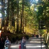 ศาลเจ้านิกโก้โทโชกุ (Toshogu Shrine)