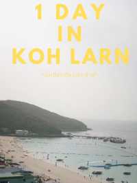 1 วันที่เกาะล้าน - ไปดูห่านเล่นน้ำที่หาดนวล