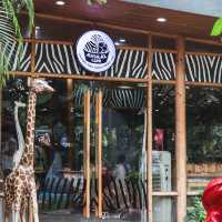 คาเฟ่สุดคิวท์กลางซาฟารี! 🦁🐾