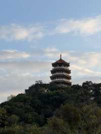 中山小欖龍山公園