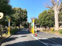 Nogawa Park (野川公園)