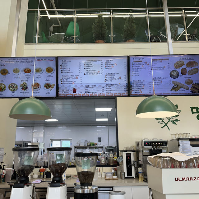 【オサン】🇰🇷 ミョンジャンシデ