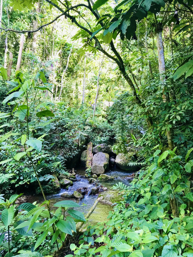 Lepoh Waterfall: A Scenic Hike Adventure