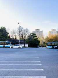 Stunning Autumn in Beijing Olympic Park