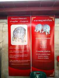 วัดป่าแดด เชียงใหม่ สายมูไม่ควรพลาด