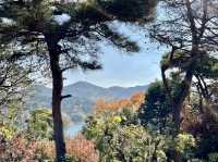 【博物館明治村】