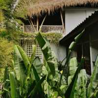 Refined Comfort at Hotel Dinara