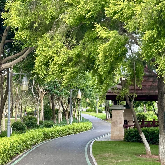 金灣濕地公園～自然的秘境