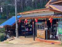 Pang Ung Camp Site - ลานกางเต็นท์ปางอุ๋ง