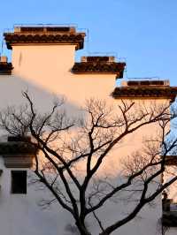 Guangfulin Cultural Relics: A Window to the Past
