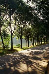 Easy Stroll at the Dafushan Forest Park of Panyu