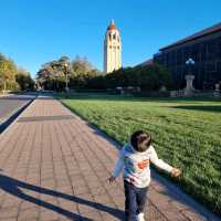 Exploring Stanford University: A Must-Visit Destination