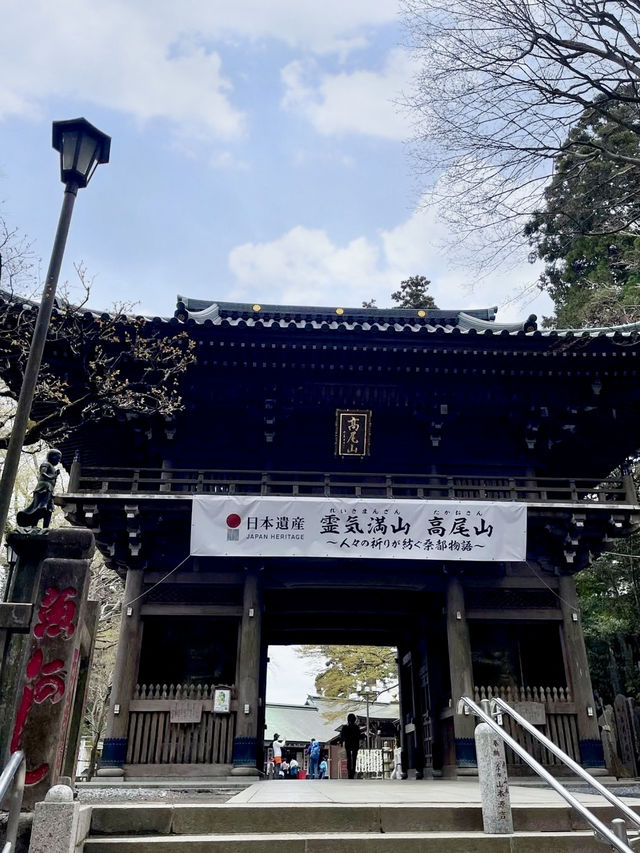 Spring Trekking at Mt. Takao: A Flower-Filled Adventure🌸
