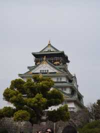【大阪×春旅】 桜の名所100選 公園全体を埋めつくす3000本の桜