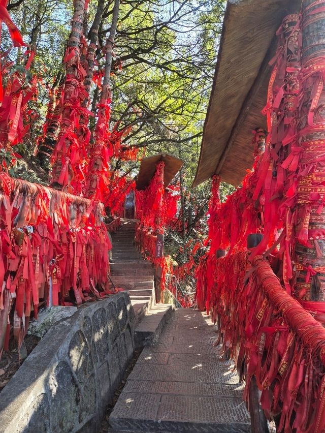 Changsha 4 Days Itinerary