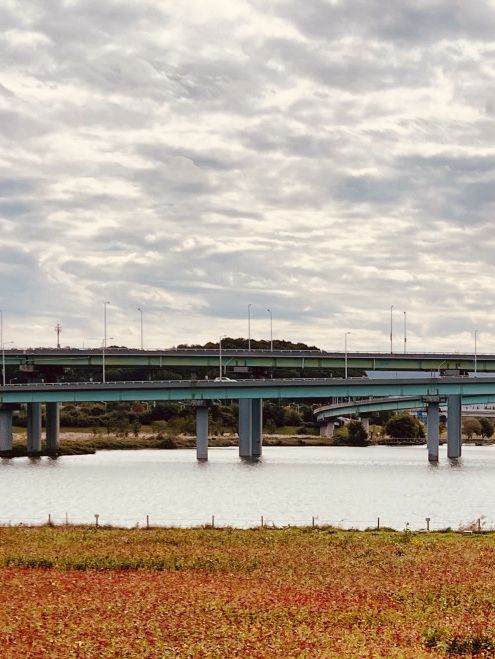 Spring Breeze: A Daytime Stroll Across Expo Bridge