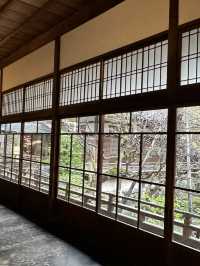 【京都×春旅】  風情ある景色、庭園、建築技術は素晴らしい