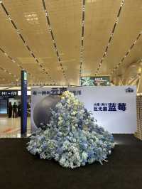 【中国🇨🇳昆明】お花いっぱいの空港✈️